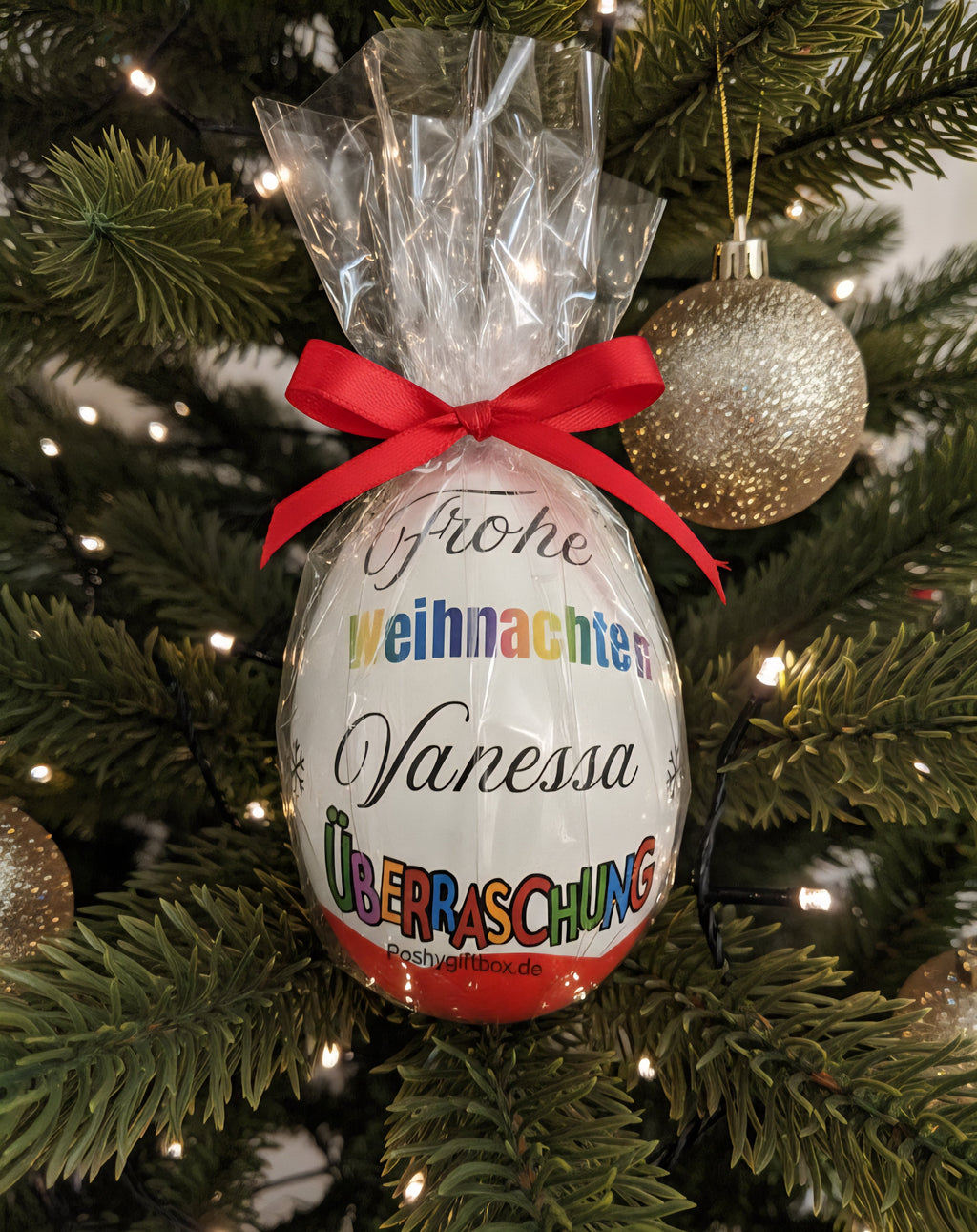 Personalisiertes XXL Überraschungsei /Geschenk XXL Überraschungsei/Du wolltest nichts Geschenk /Geschenk Geburtstag,Jugendweihe,Kommunion/Abschiedsgeschenk/Überraschungsei mit Wunschtext PoshyGiftbox