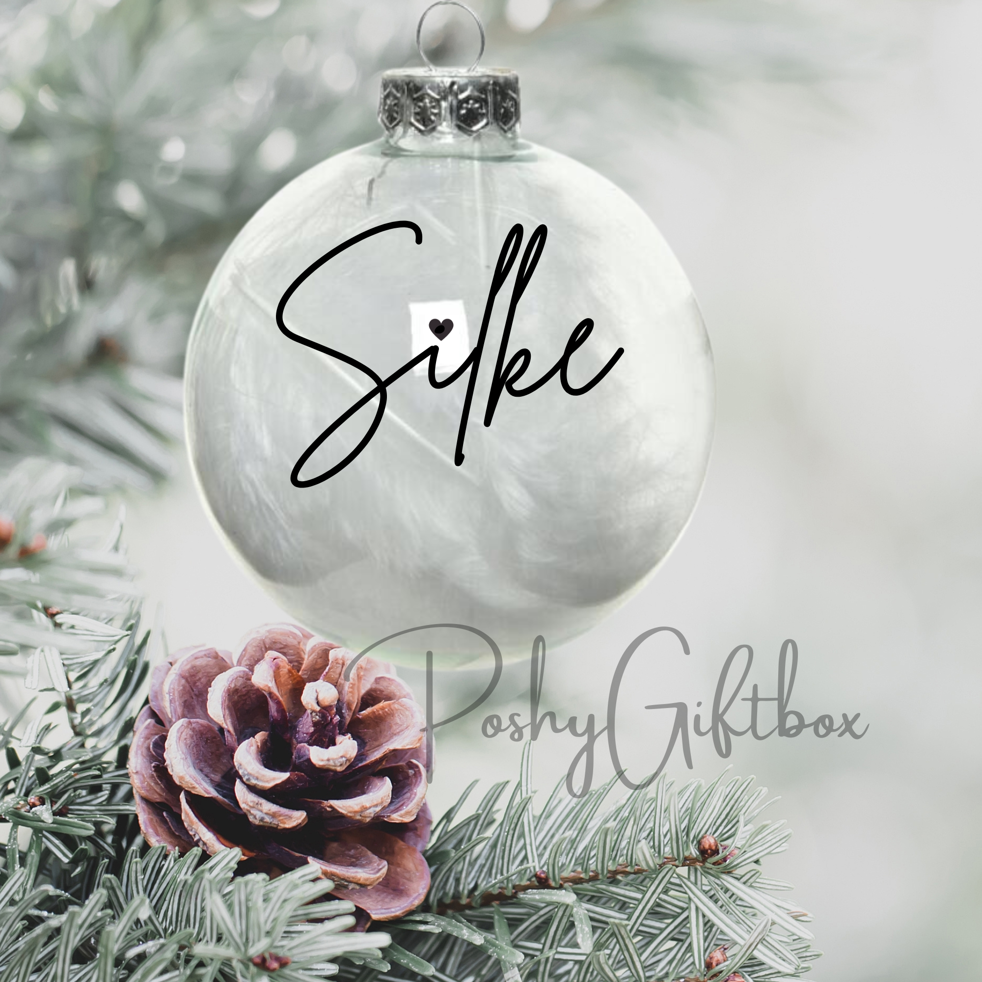 Personalisierte Weihnachtskugeln / Gefüllt mit Federn/Weihnachtsgeschenke/ Weihnachtskugel mit Namen /Christbaumkugel/Weihnachtsdeko PoshyGiftbox