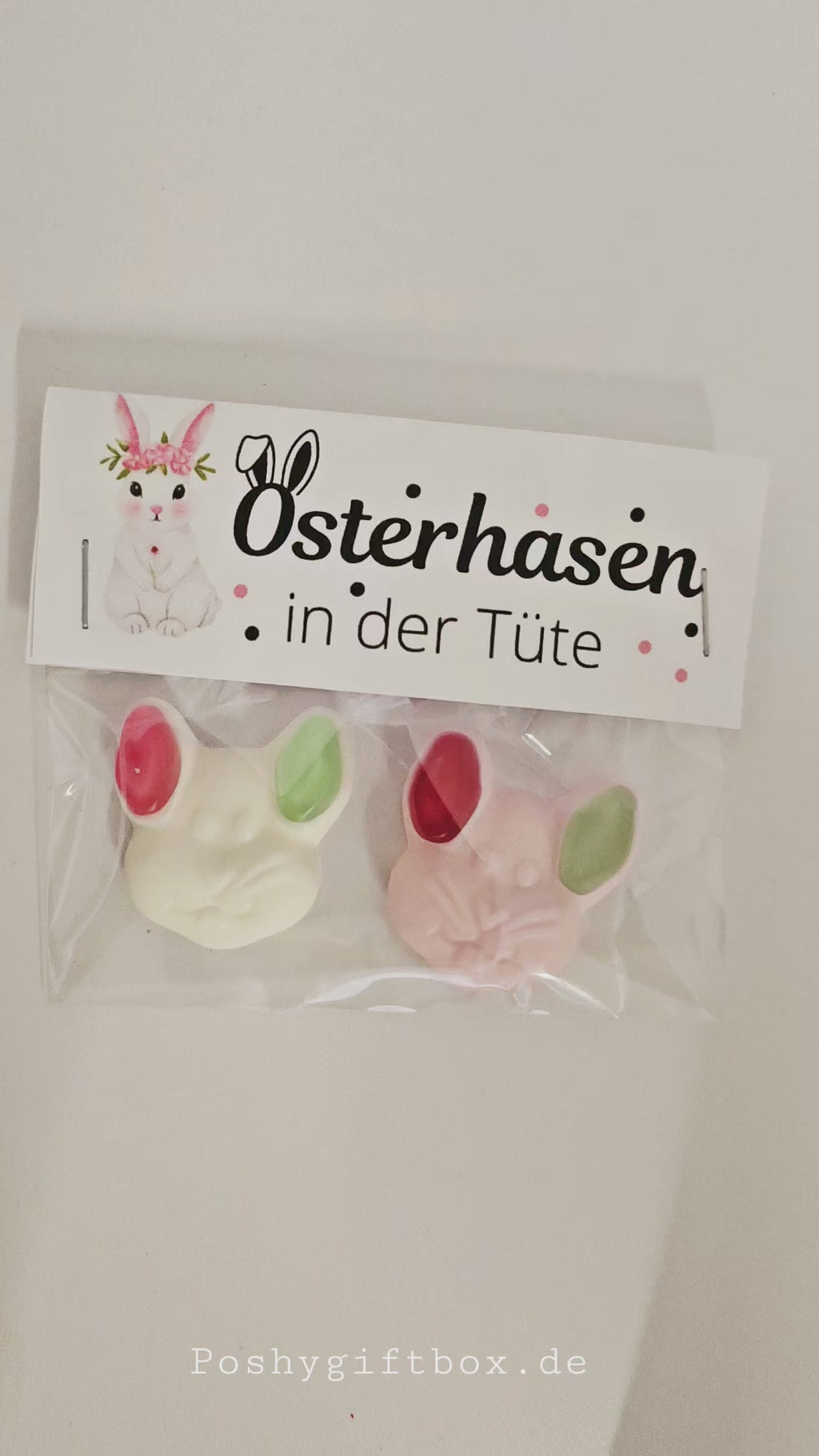 Süße Osterhasen Geschenkidee in der Tüte kleine Ostergeschenke und Mitbringsel